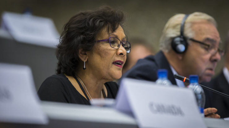 Ms. Hedy Fry (MP, Canada) speaks October 4, 2014 (photo courtesy of the Swiss Parliament/Fabio Chironi) by OSCE Parliamentary Assembly (CC BY-SA 2.0) https://flic.kr/p/peTUuL